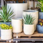 Top Wholesale Plant Pot Choices for Your Growing Business