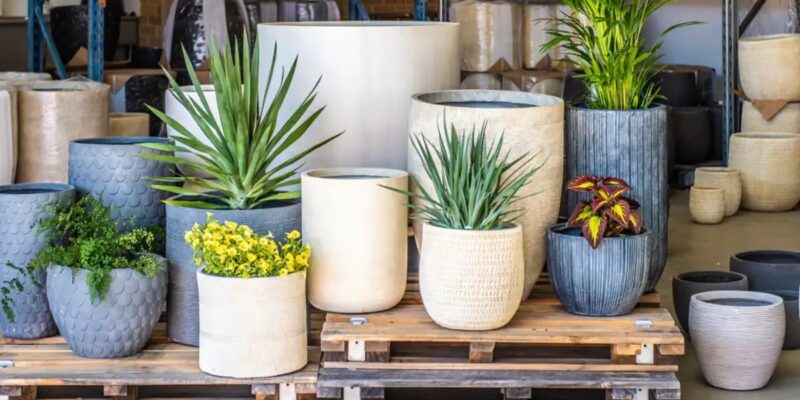 Top Wholesale Plant Pot Choices for Your Growing Business