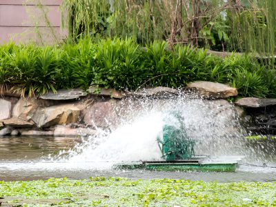 Aquatic Health