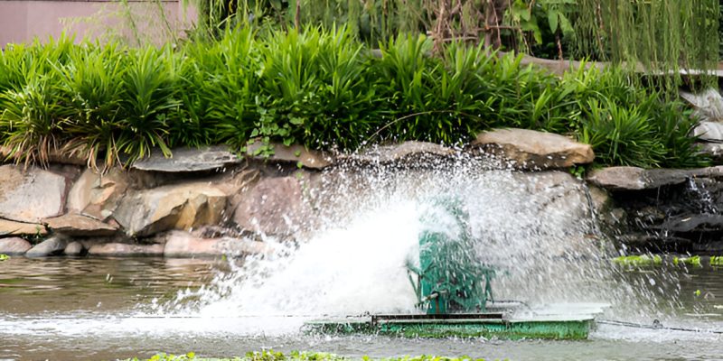 Aquatic Health